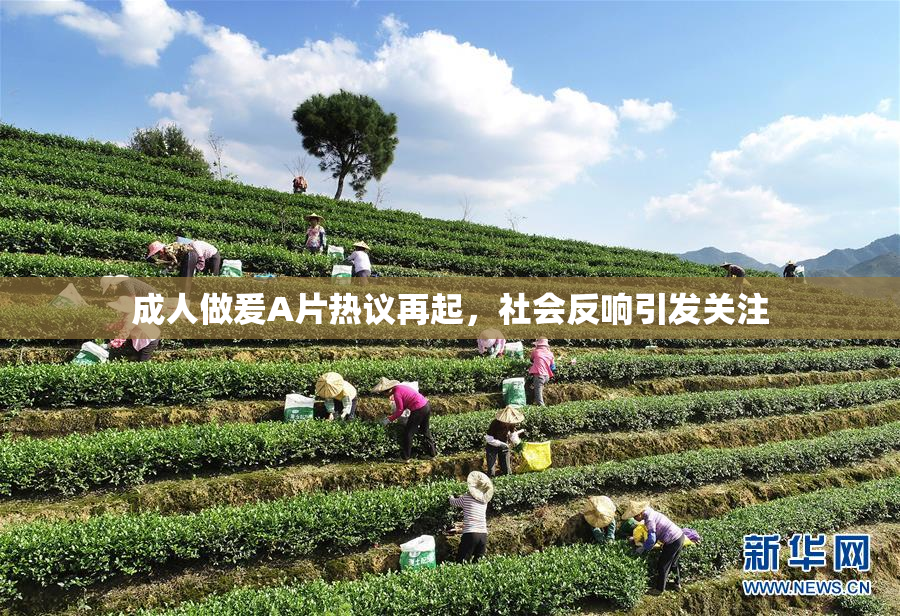 成人做爰A片热议再起，社会反响引发关注