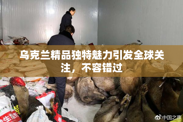 乌克兰精品独特魅力引发全球关注，不容错过