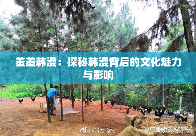 羞羞韩漫：探秘韩漫背后的文化魅力与影响