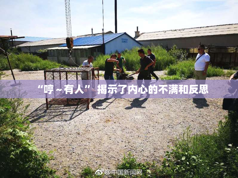 “哼～有人” 揭示了内心的不满和反思