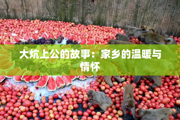 大炕上公的故事：家乡的温暖与情怀