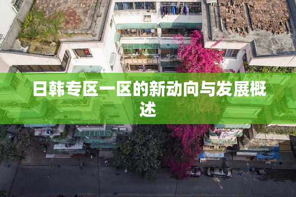 日韩专区一区的新动向与发展概述