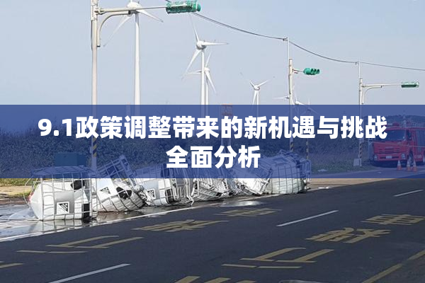 9.1政策调整带来的新机遇与挑战全面分析