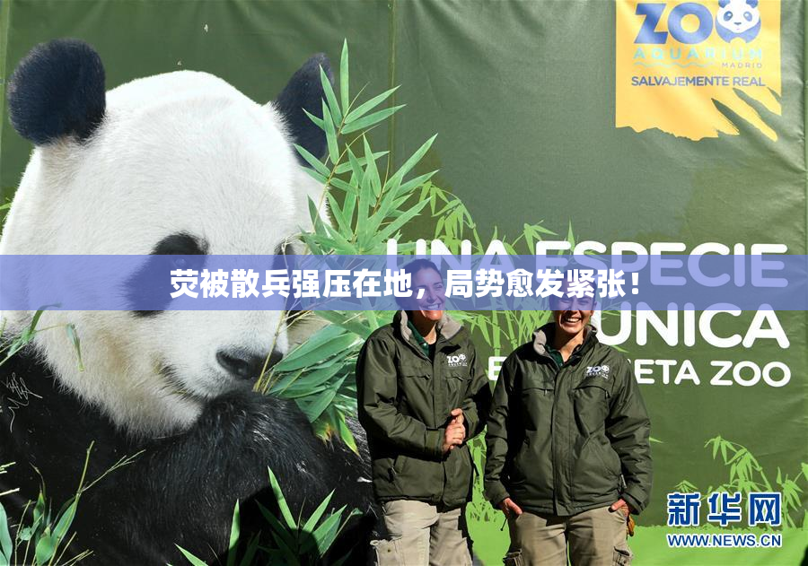 荧被散兵强压在地，局势愈发紧张！