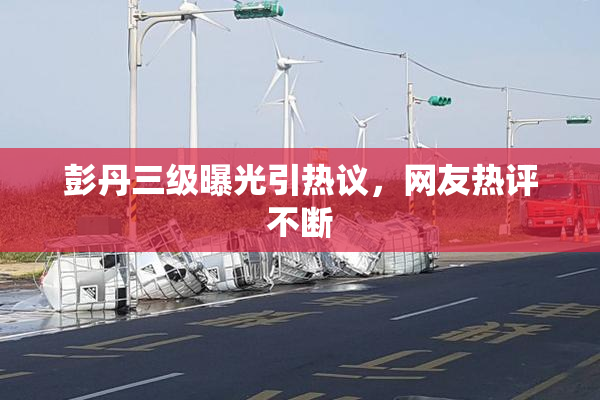 彭丹三级曝光引热议，网友热评不断