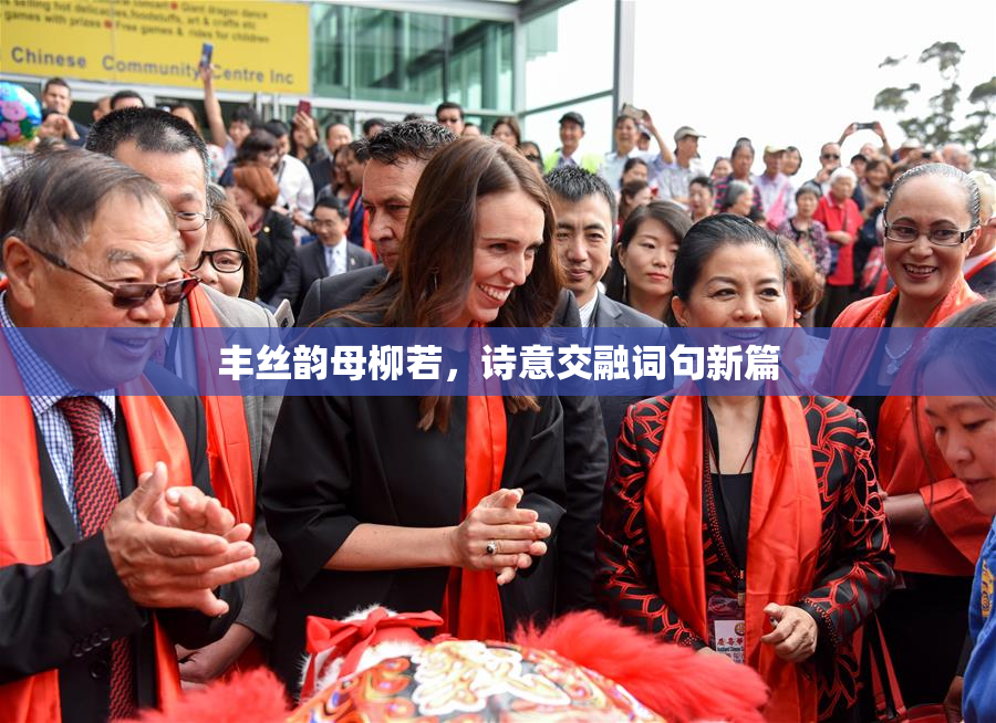 丰丝韵母柳若，诗意交融词句新篇
