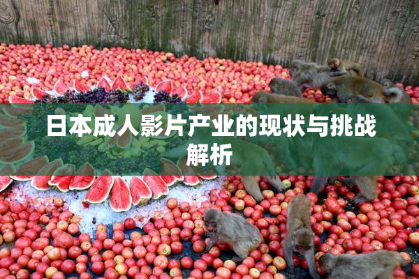 日本成人影片产业的现状与挑战解析