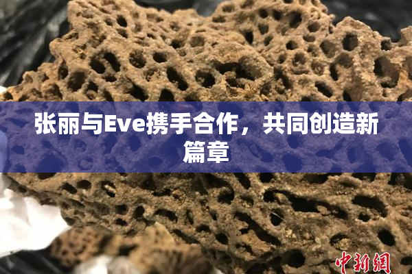 张丽与Eve携手合作，共同创造新篇章
