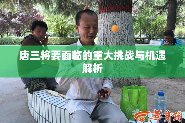 唐三将要面临的重大挑战与机遇解析