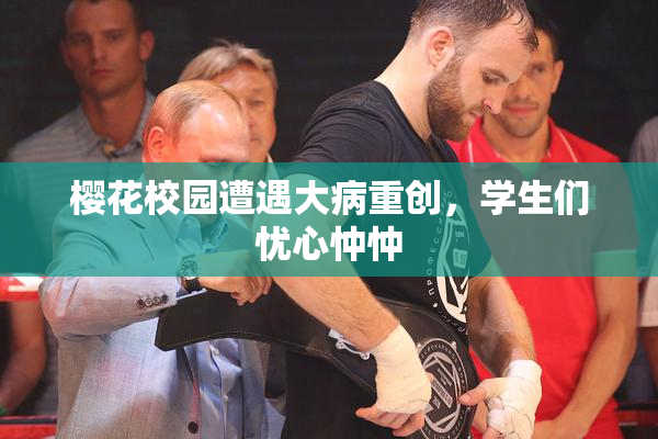 樱花校园遭遇大病重创，学生们忧心忡忡