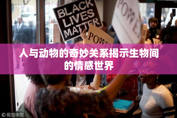 人与动物的奇妙关系揭示生物间的情感世界