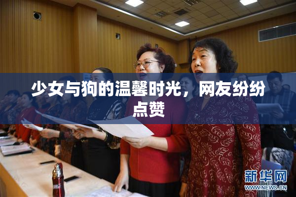 少女与狗的温馨时光，网友纷纷点赞