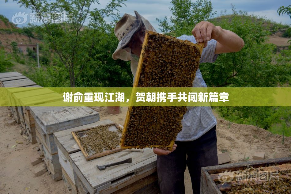 谢俞重现江湖，贺朝携手共闯新篇章