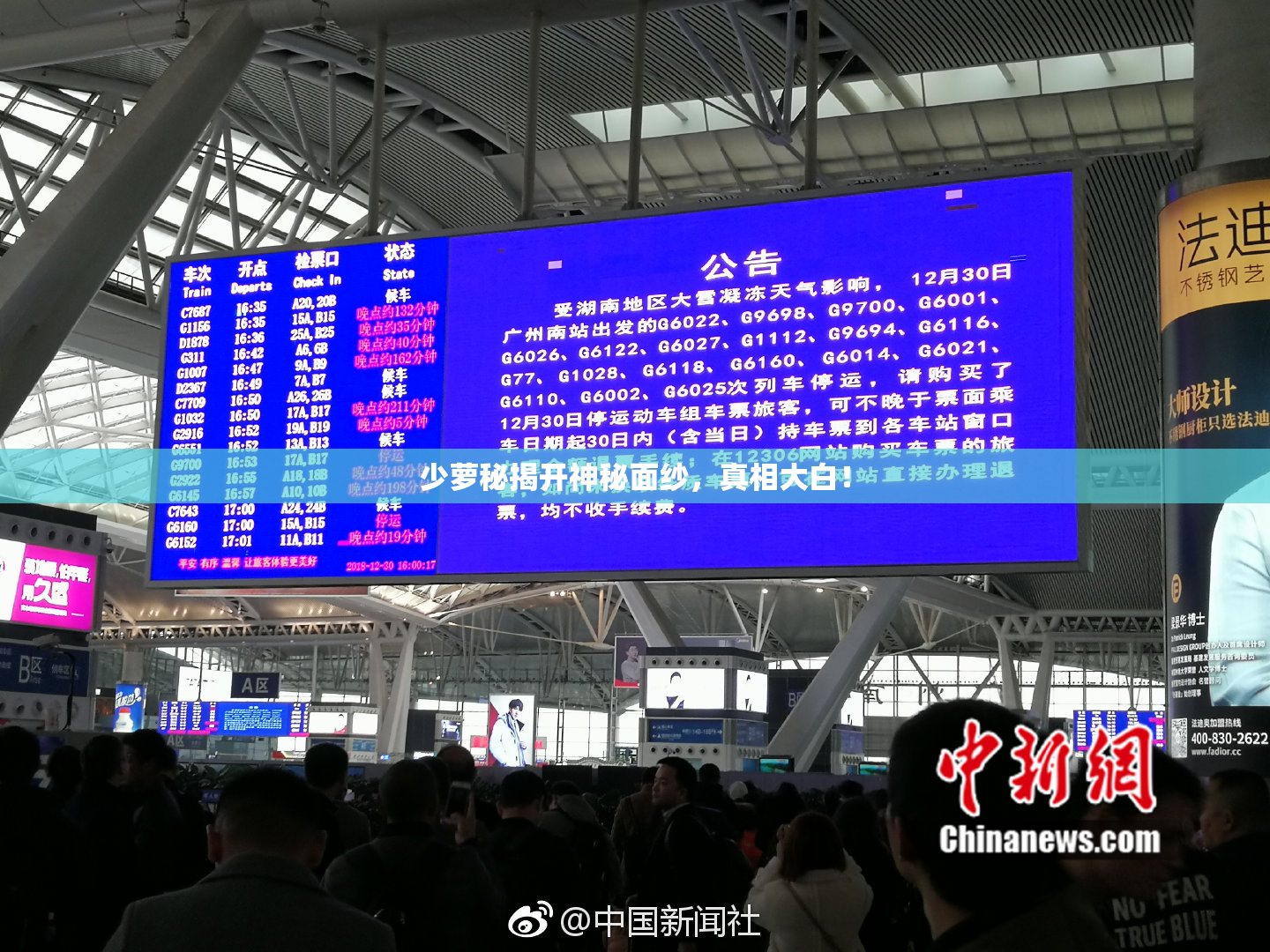 少萝秘揭开神秘面纱，真相大白！
