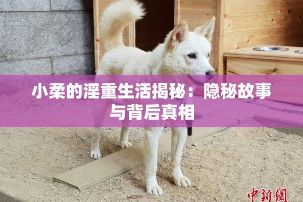 小柔的淫重生活揭秘：隐秘故事与背后真相