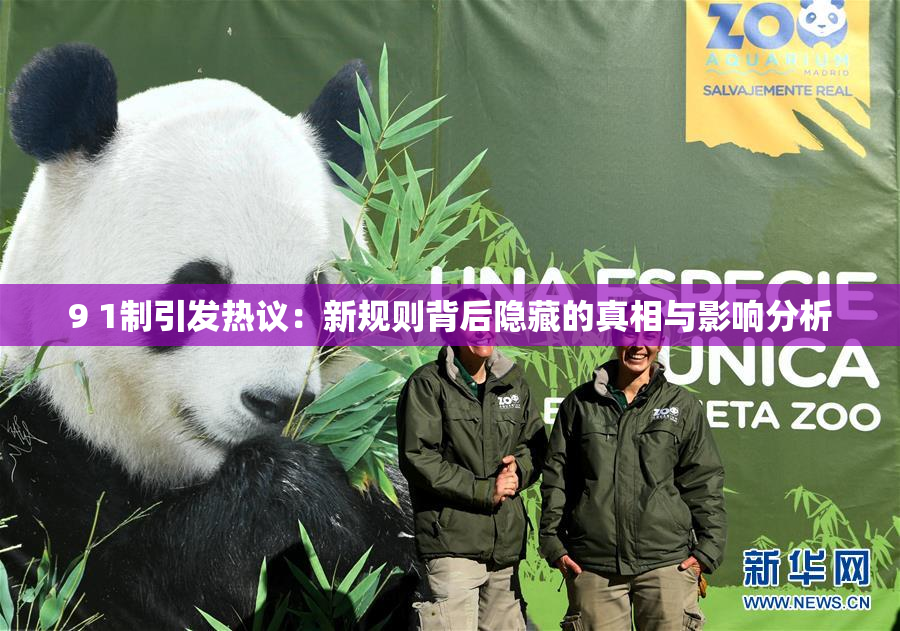 9 1制引发热议：新规则背后隐藏的真相与影响分析