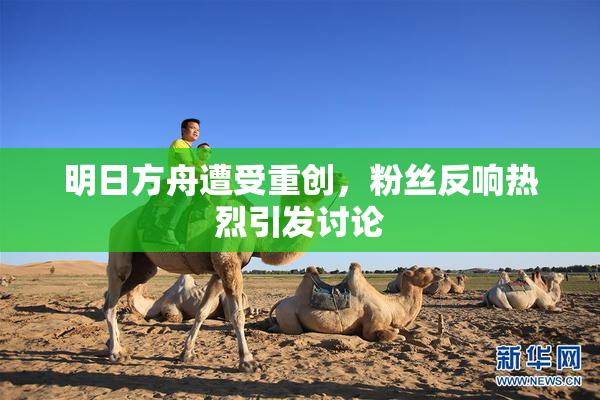 明日方舟遭受重创，粉丝反响热烈引发讨论