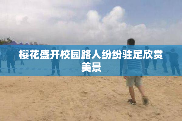 樱花盛开校园路人纷纷驻足欣赏美景