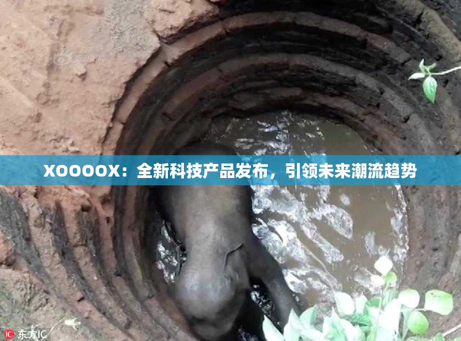 XOOOOX：全新科技产品发布，引领未来潮流趋势