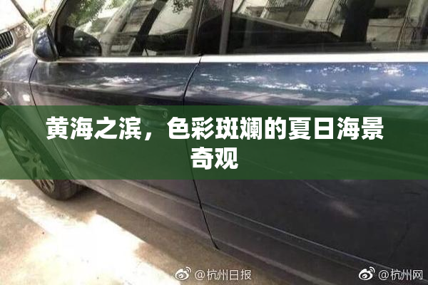 黄海之滨，色彩斑斓的夏日海景奇观