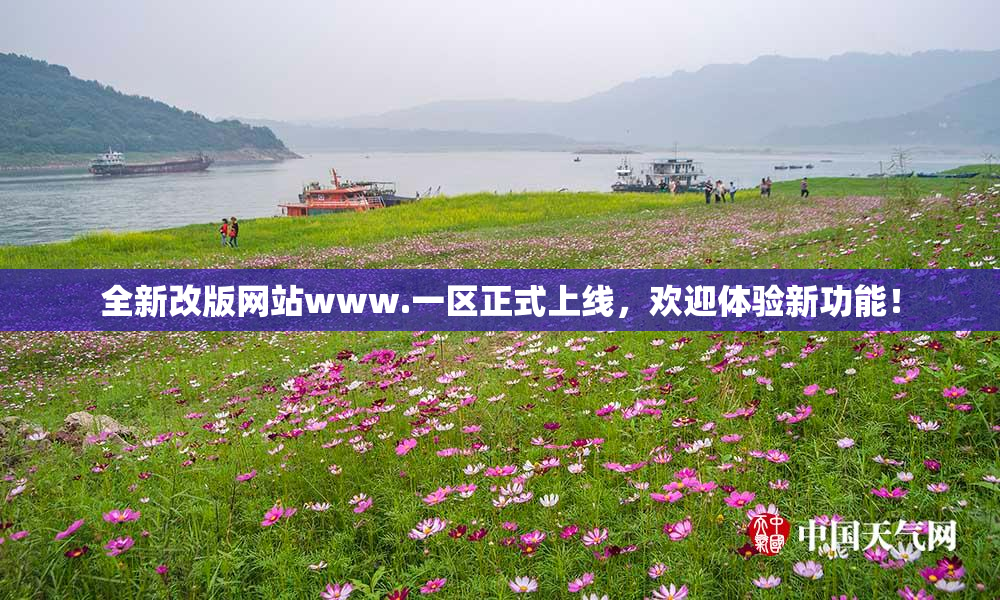 全新改版网站www.一区正式上线，欢迎体验新功能！