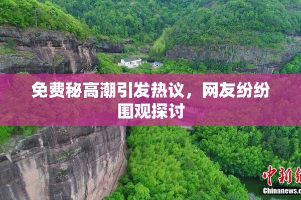 免费秘高潮引发热议，网友纷纷围观探讨
