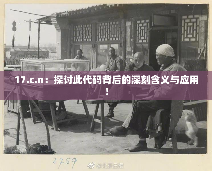 17.c.n：探讨此代码背后的深刻含义与应用！