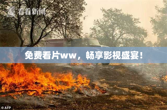 免费看片ww，畅享影视盛宴！