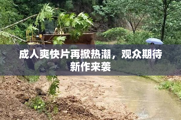 成人爽快片再掀热潮，观众期待新作来袭