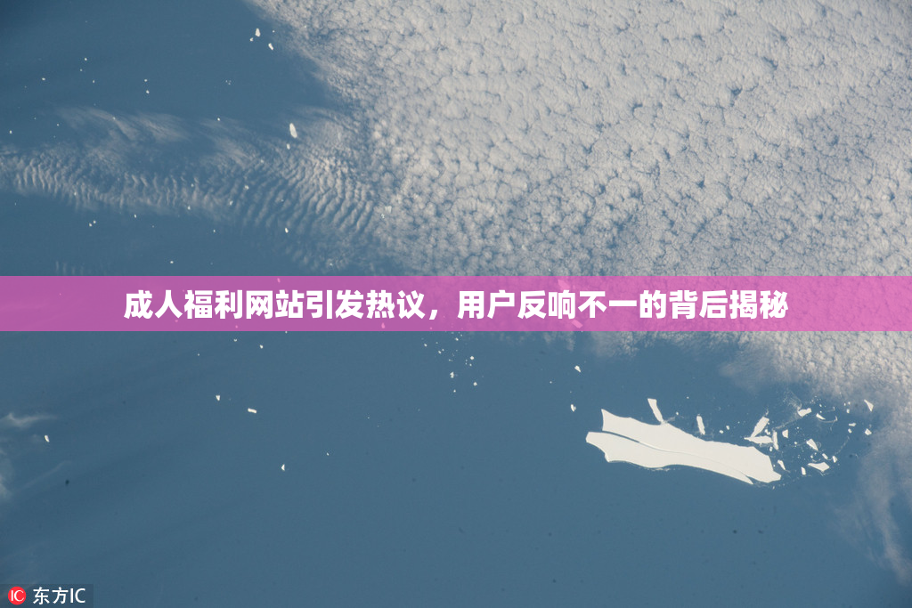 成人福利网站引发热议，用户反响不一的背后揭秘