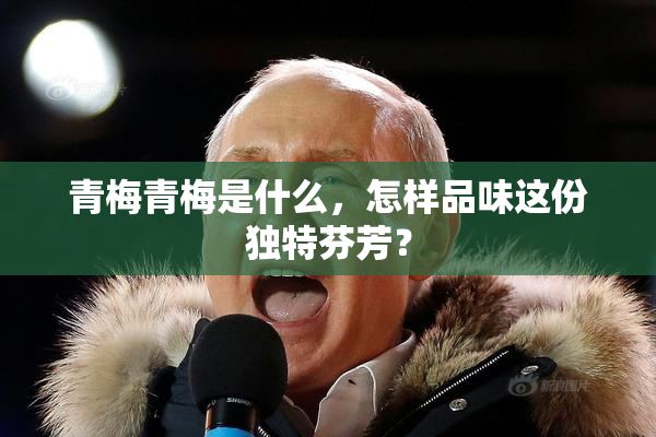 青梅青梅是什么，怎样品味这份独特芬芳？