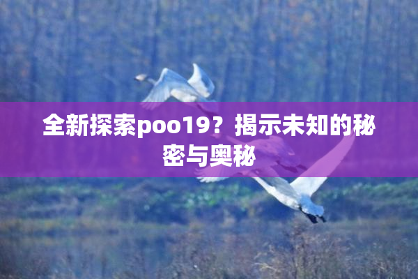 全新探索poo19？揭示未知的秘密与奥秘