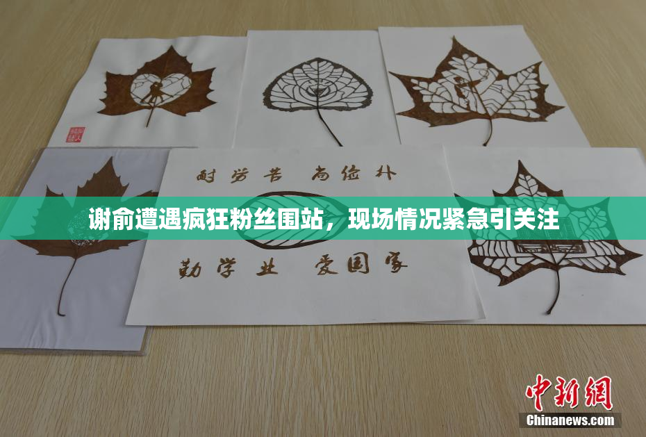 谢俞遭遇疯狂粉丝围站，现场情况紧急引关注