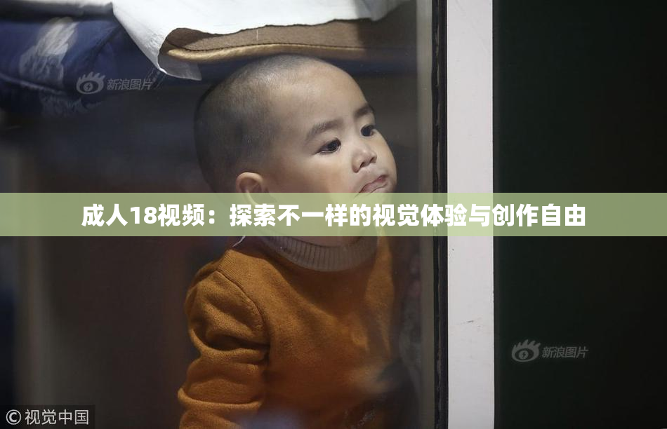 成人18视频：探索不一样的视觉体验与创作自由