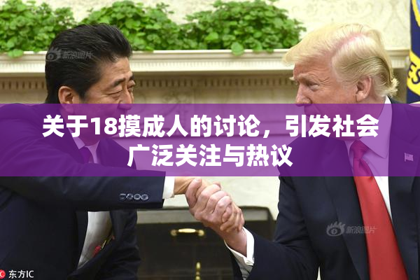 关于18摸成人的讨论，引发社会广泛关注与热议
