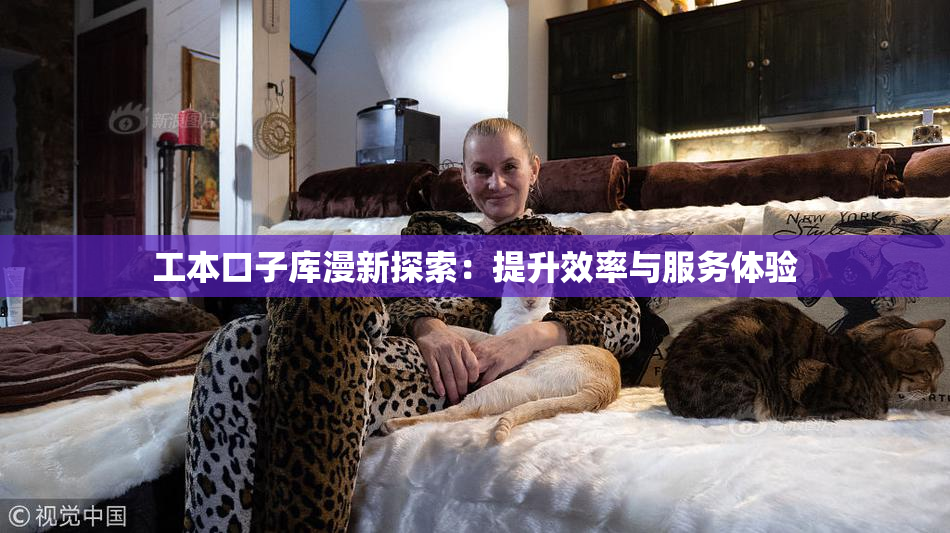 工本口子库漫新探索：提升效率与服务体验
