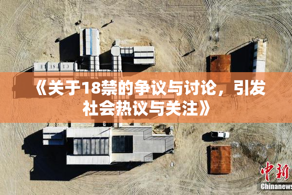 《关于18禁的争议与讨论，引发社会热议与关注》