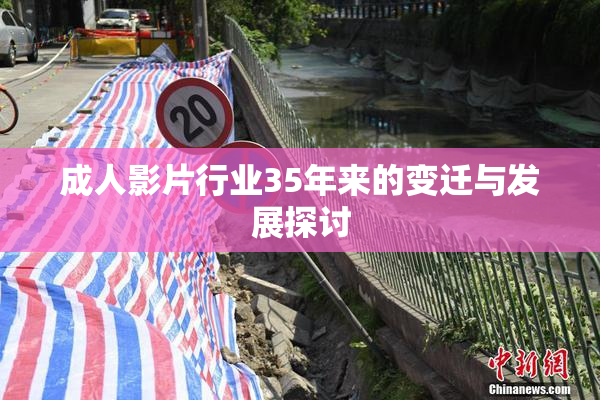 成人影片行业35年来的变迁与发展探讨