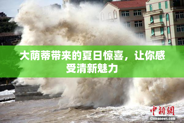 大荫蒂带来的夏日惊喜，让你感受清新魅力