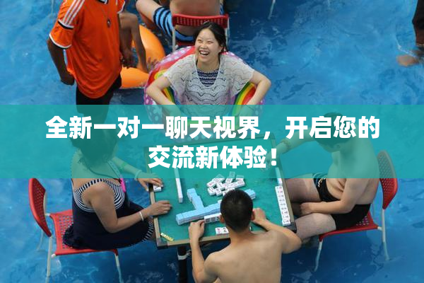 全新一对一聊天视界，开启您的交流新体验！