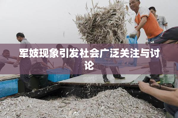 军妓现象引发社会广泛关注与讨论