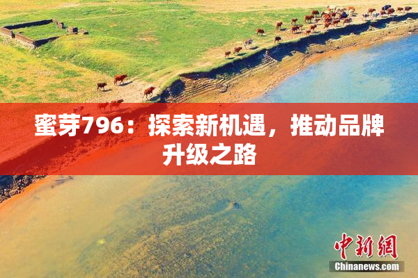 蜜芽796：探索新机遇，推动品牌升级之路
