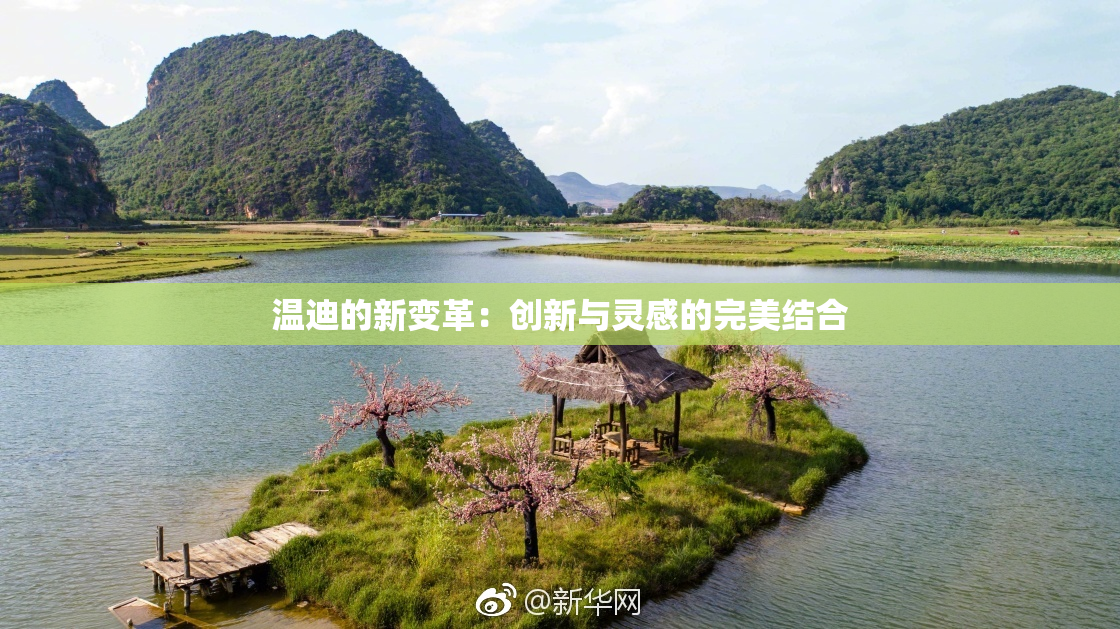 温迪的新变革：创新与灵感的完美结合
