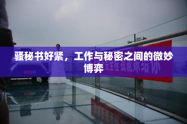 骚秘书好紧，工作与秘密之间的微妙博弈