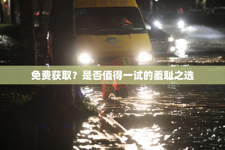 免费获取？是否值得一试的羞耻之选