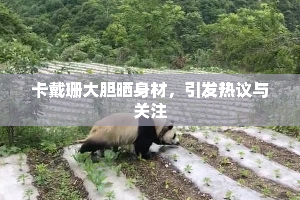 卡戴珊大胆晒身材，引发热议与关注