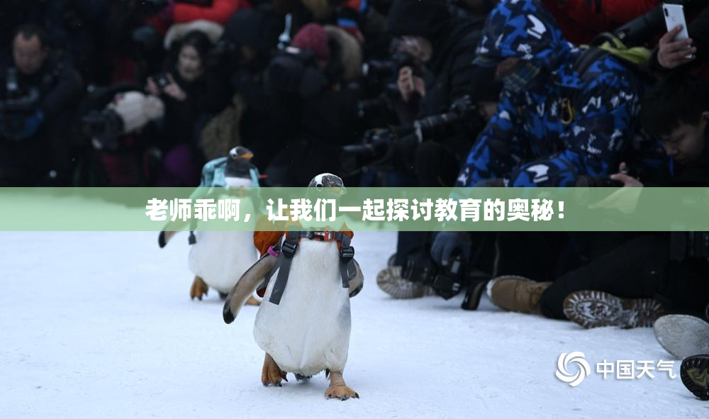 老师乖啊，让我们一起探讨教育的奥秘！