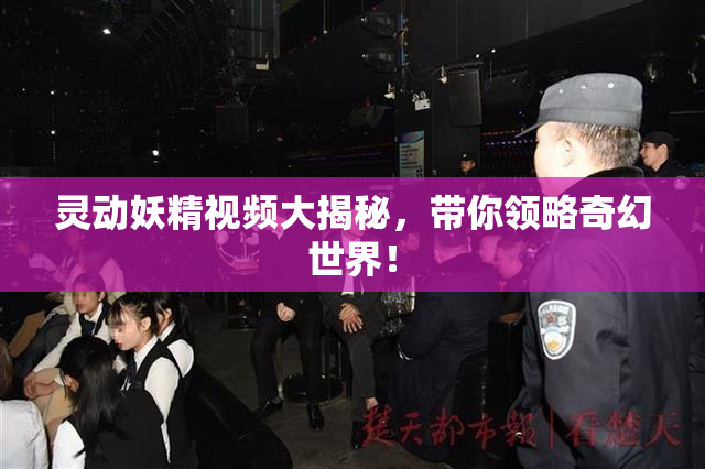 灵动妖精视频大揭秘，带你领略奇幻世界！