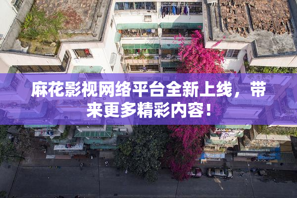 麻花影视网络平台全新上线，带来更多精彩内容！