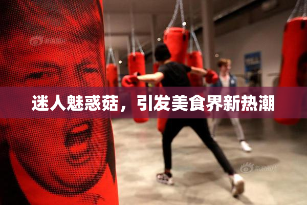 迷人魅惑菇，引发美食界新热潮